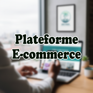 Plateforme E-Commerce : Votre Boutique sans Frontières
